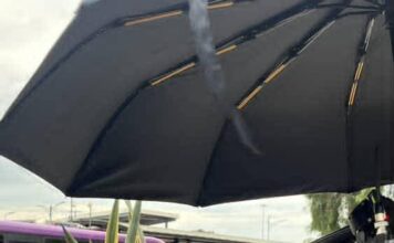 Diputada Federal Casandra de los Santos Participa en Programa del Canal del Congreso